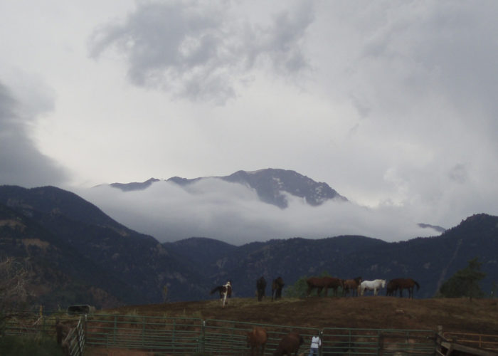 academy-riding-stables-Pikes Peak at ARS