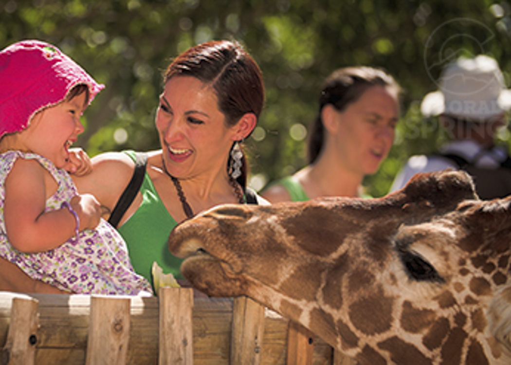 Cheyenne Mountain Zoo