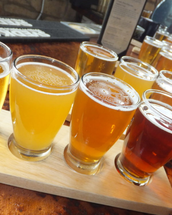 The Springs Craft Brewery Tour