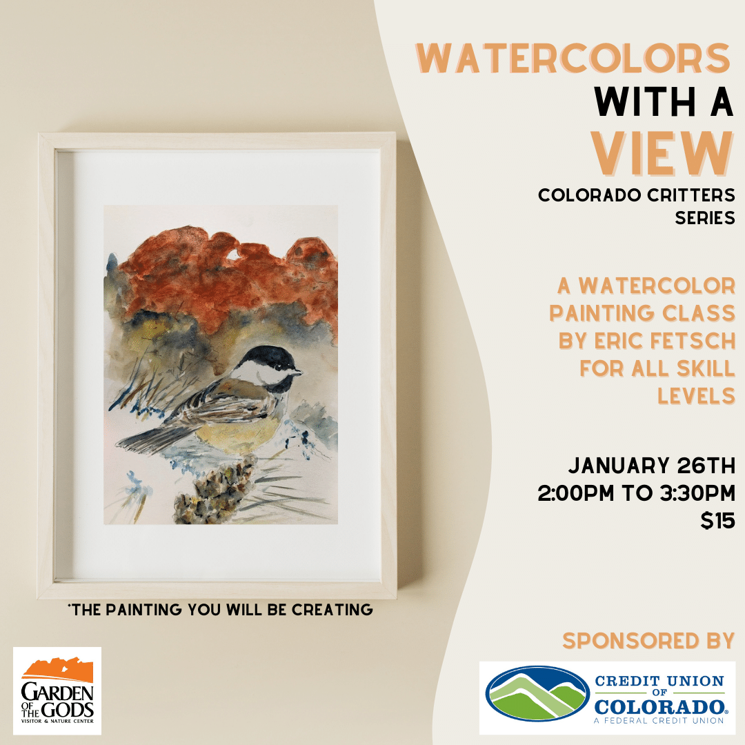 Watercolors with a View