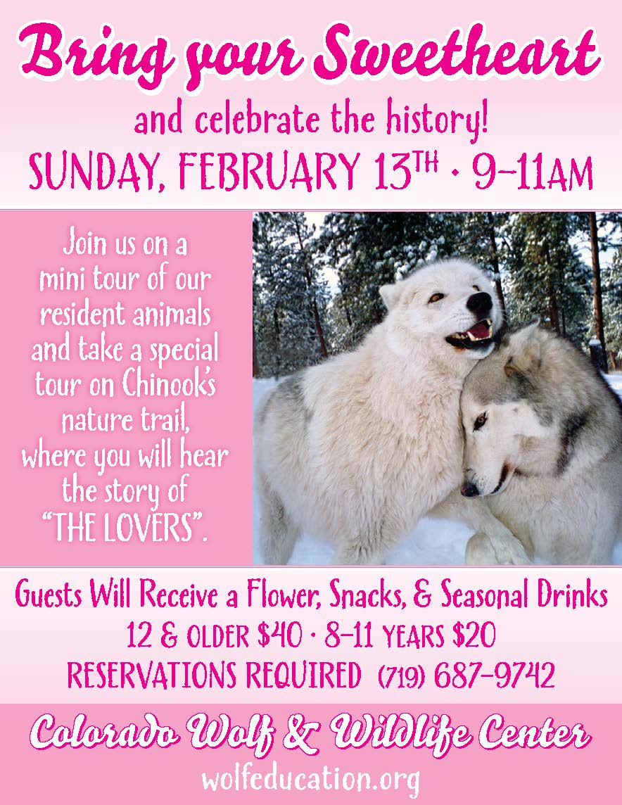 Colorado Wolf and Wildlife Center Valentine's Day tour