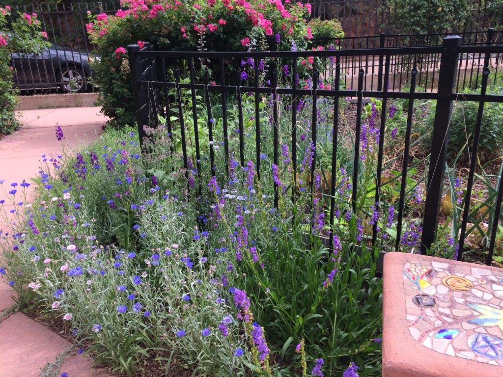 Manitou springs events calendar what s happening in manitou springs